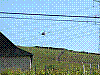 beaujolais_2006-05-24_08h37m26s.jpg beaujolais_2006-05-24_08h37m26s.jpg